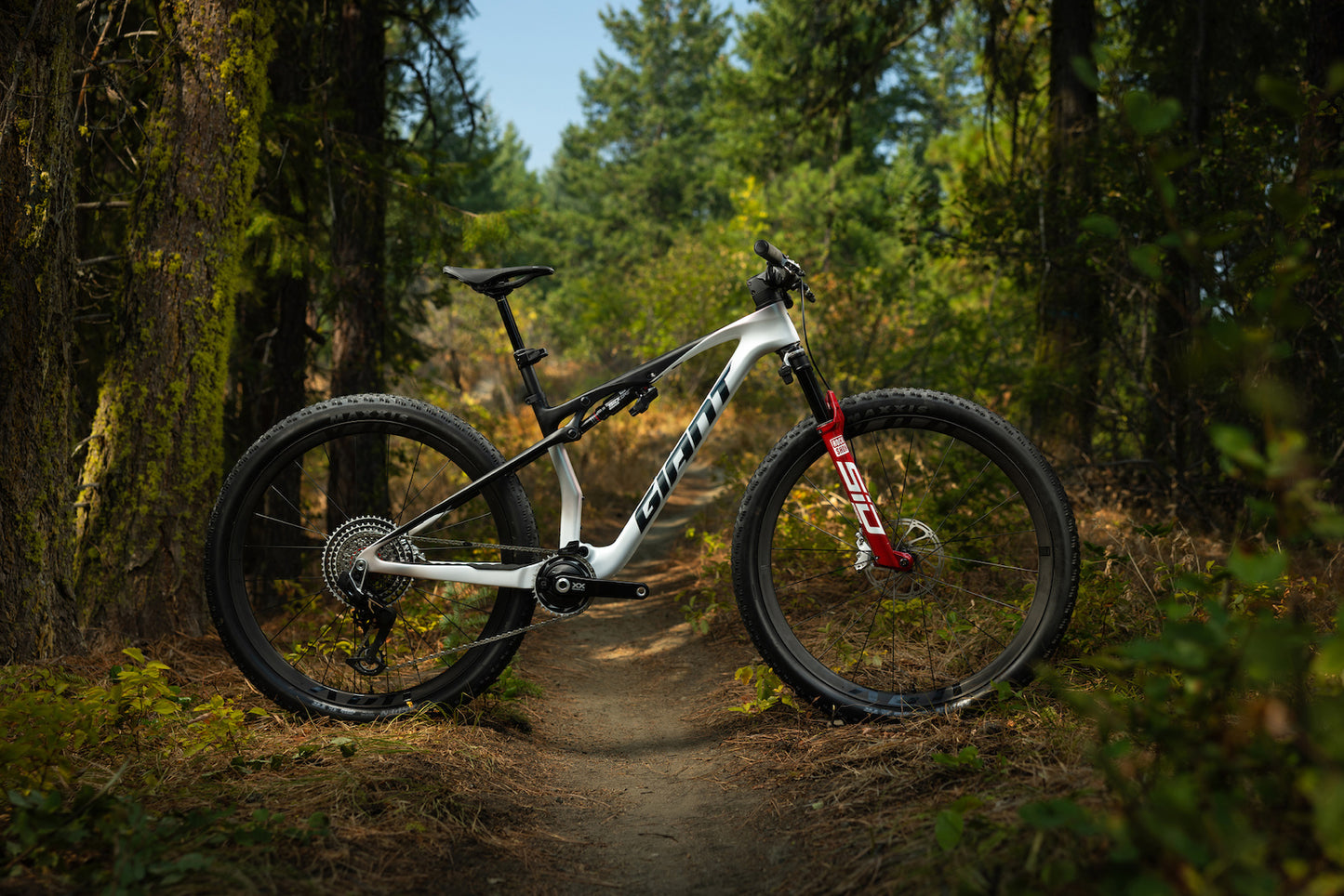 Bike Giant Talon 4